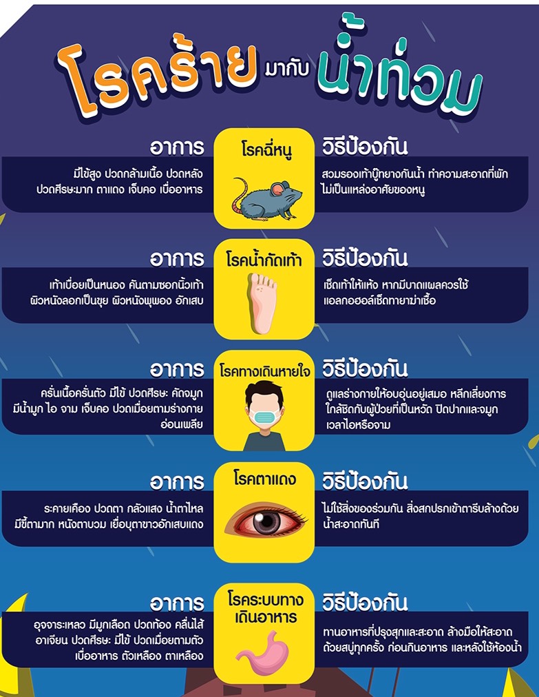 สุขภาพ 2